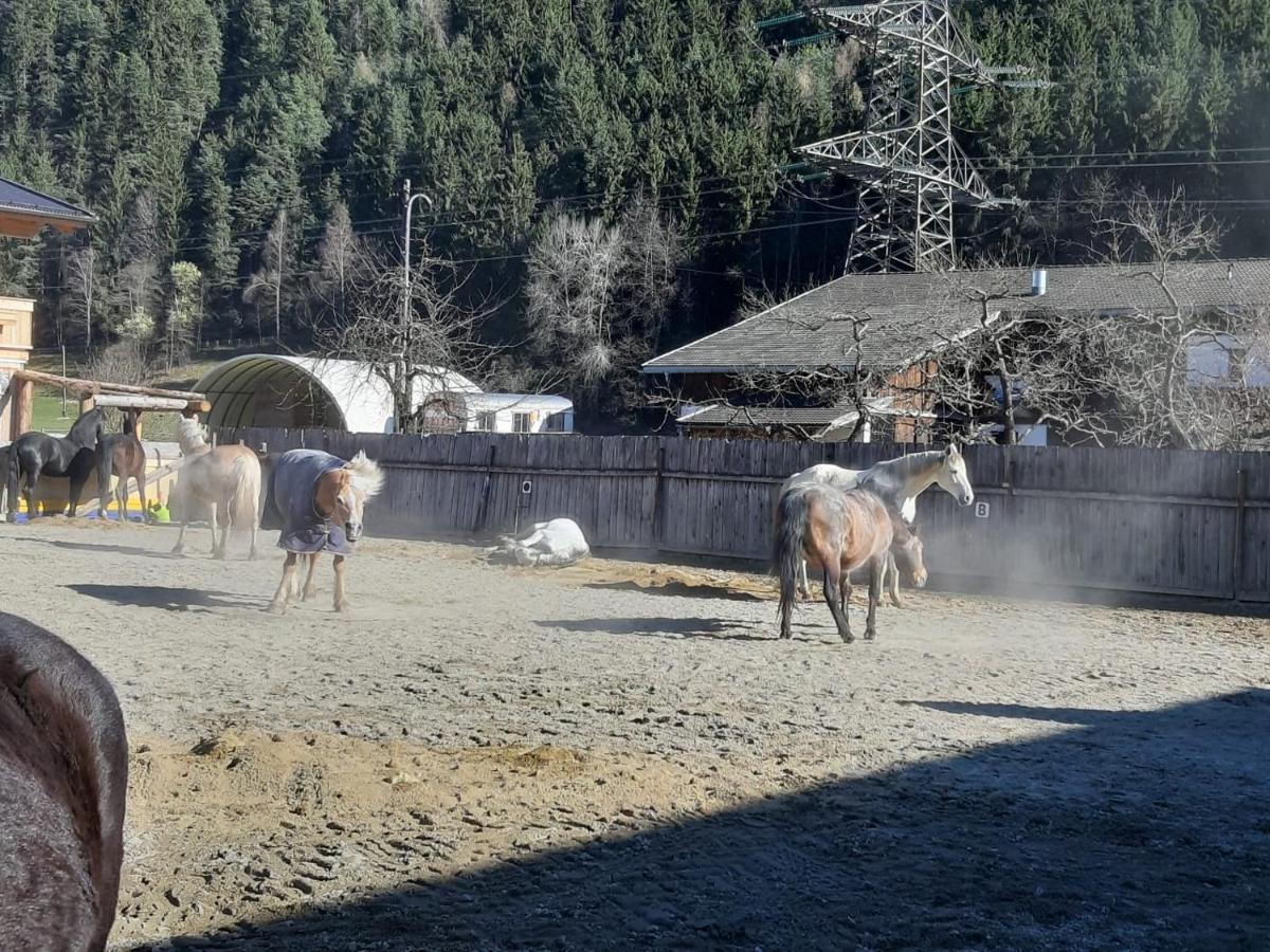 B&B Margit'S Ranch Urlaub Am Pferdehof Silz Buitenkant foto